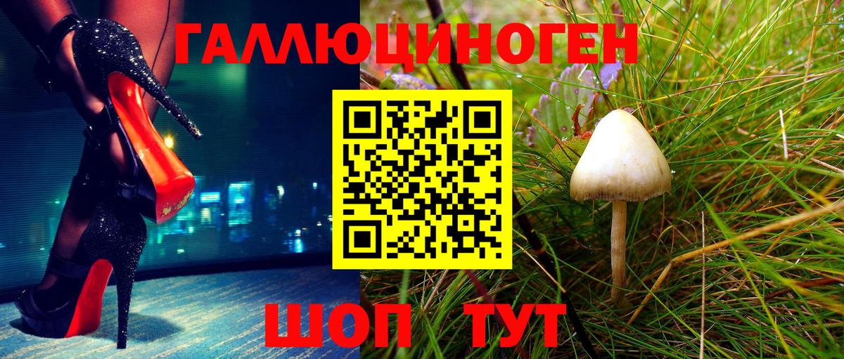 Псилоцибиновые грибы прущие грибы  Вход с VPN  Шатура 