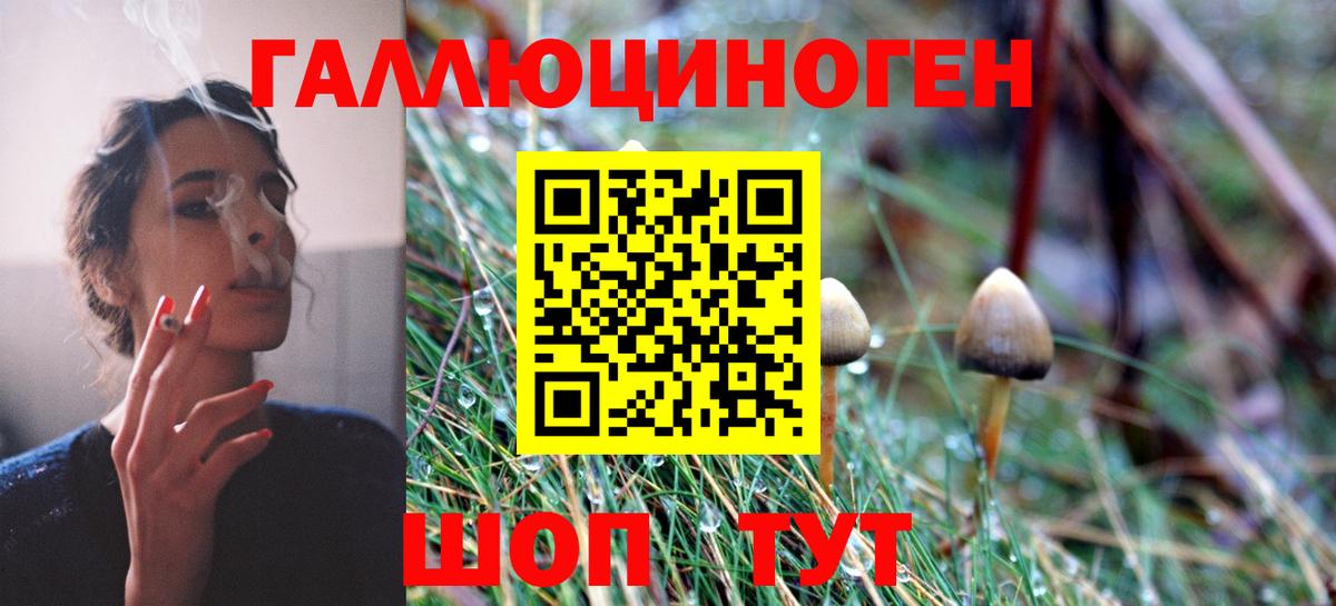 Псилоцибиновые грибы мицелий Шатура